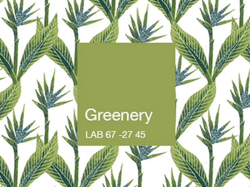 Our Favorite Greenery Prints
